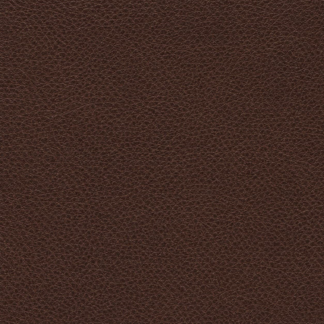 Caffe Leather