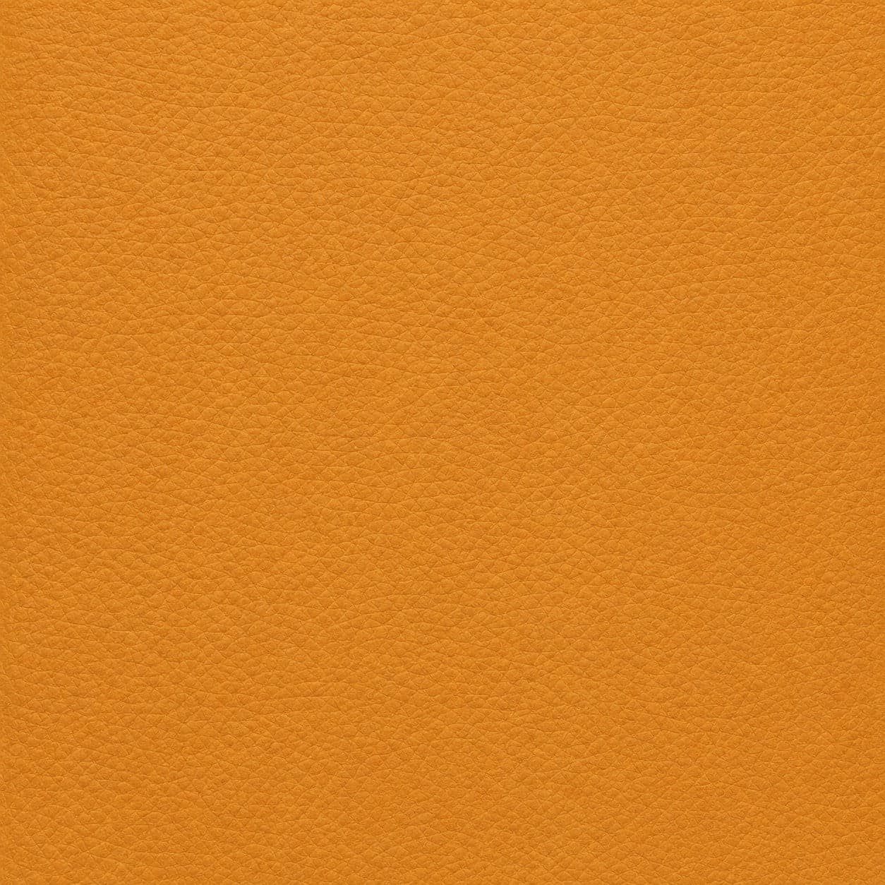 Paglia Leather