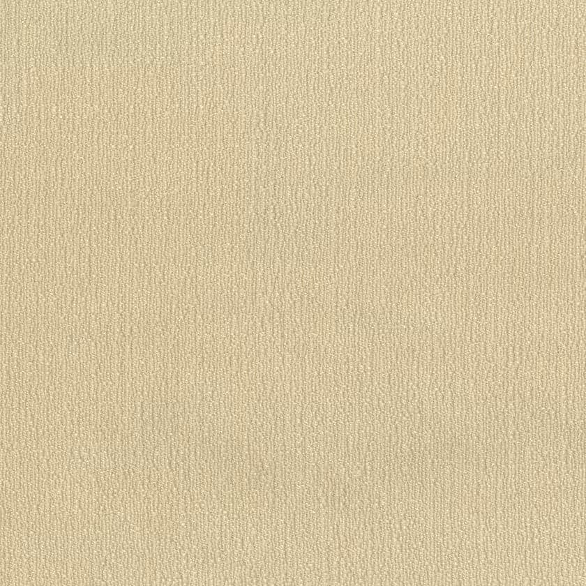 Rubelli Avena Performance Weave